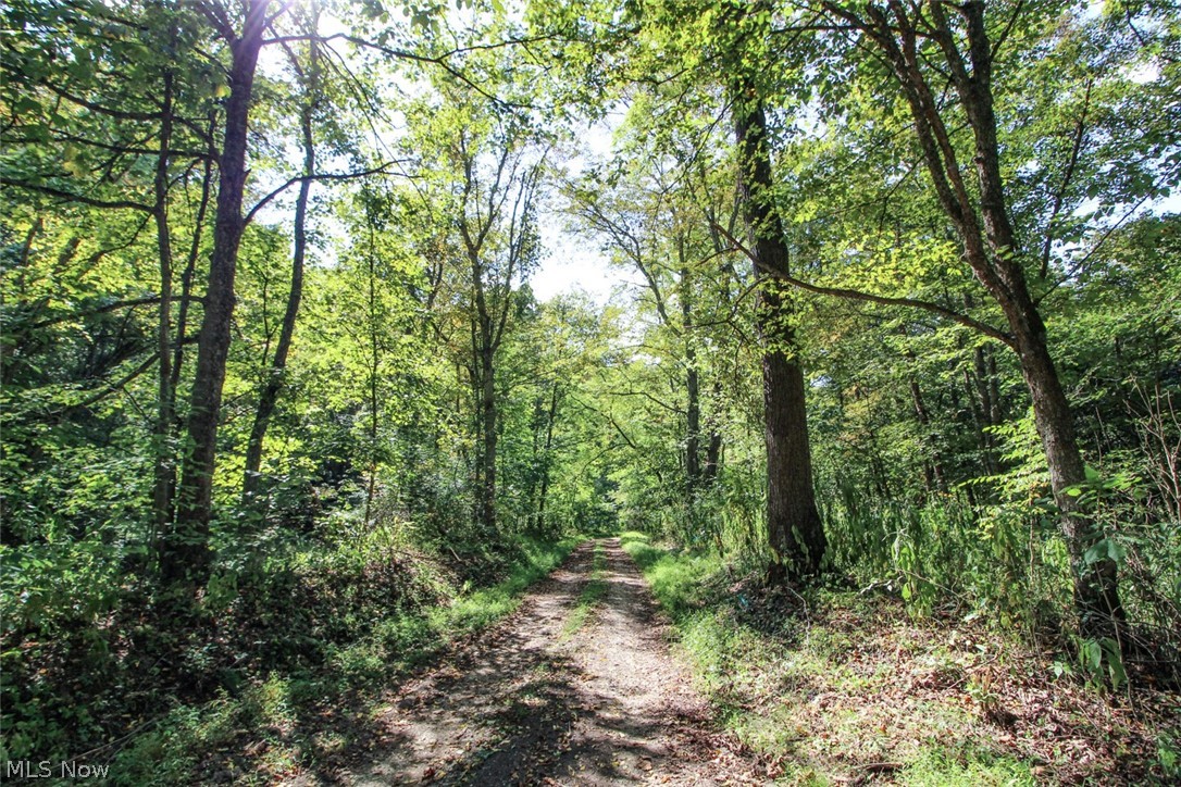 62319 Glencoe Road Belmont OH 43718