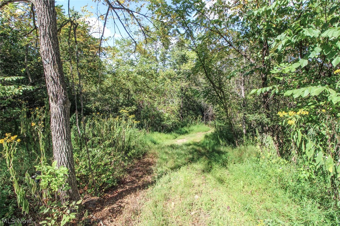 62319 Glencoe Road Belmont OH 43718