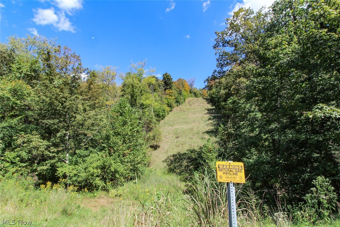 62319 Glencoe Road Belmont OH 43718