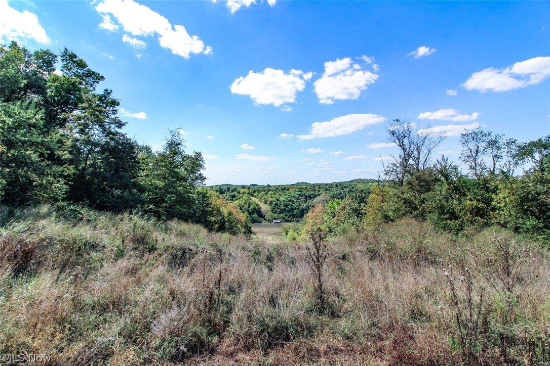 62319 Glencoe Road Belmont OH 43718