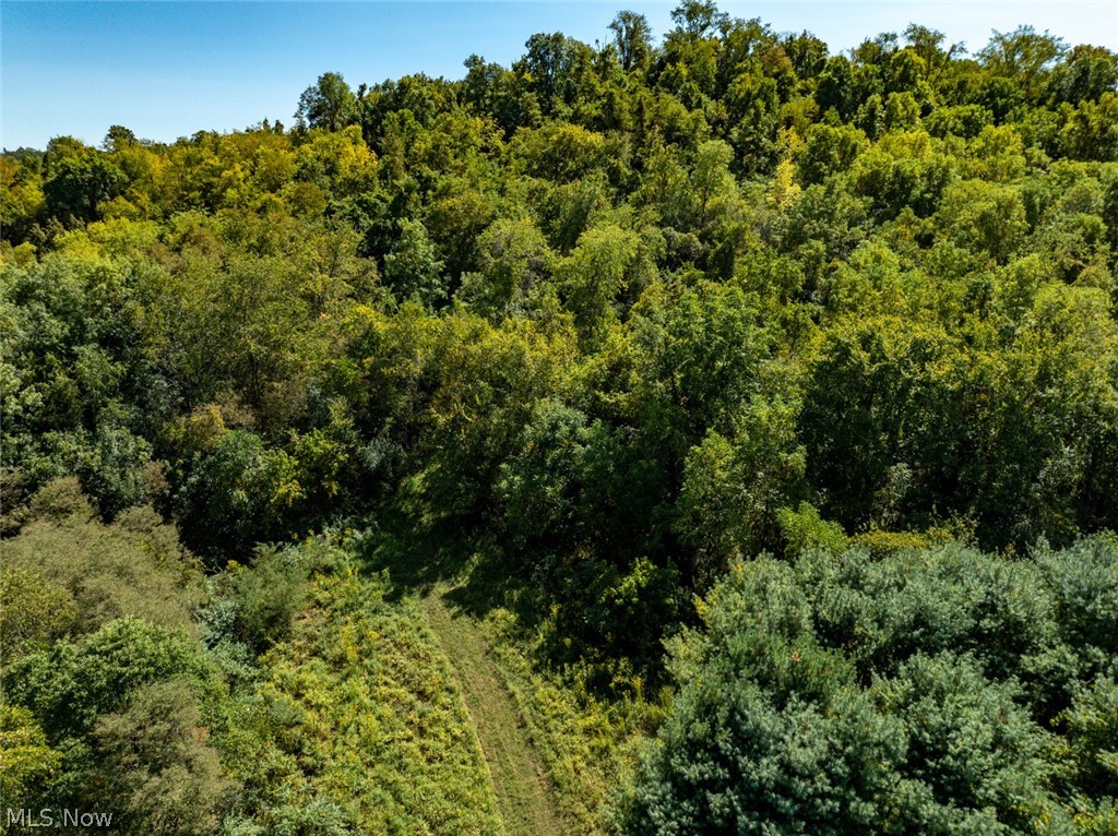 62319 Glencoe Road Belmont OH 43718