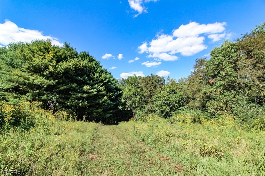 62319 Glencoe Road Belmont OH 43718