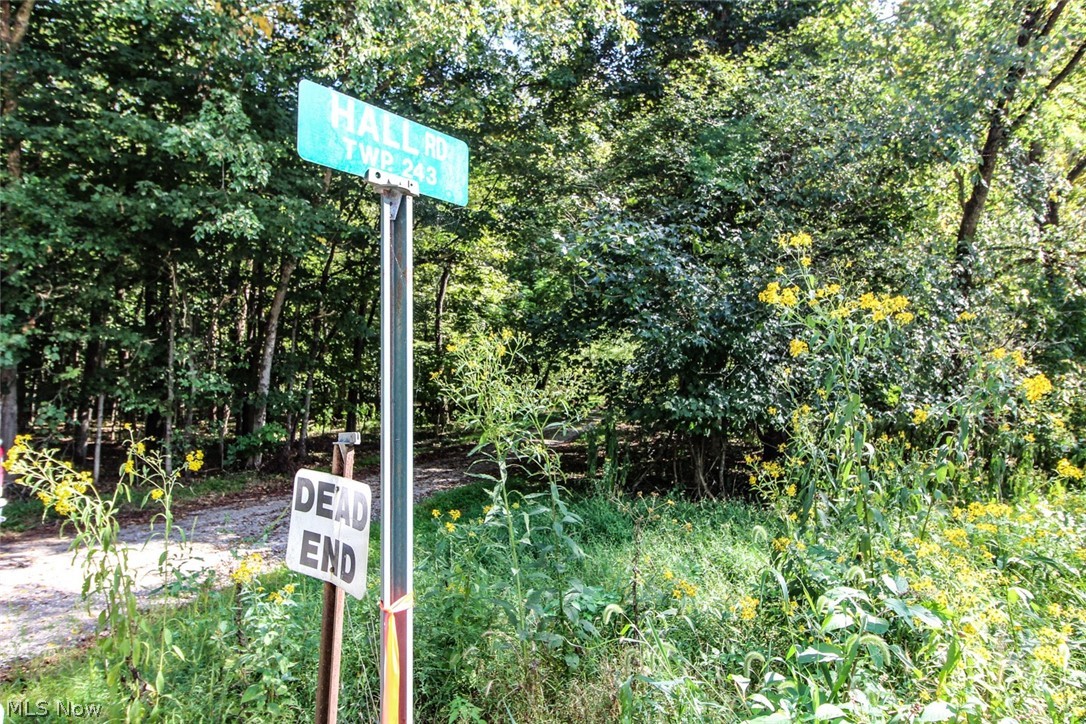 62319 Glencoe Road Belmont OH 43718