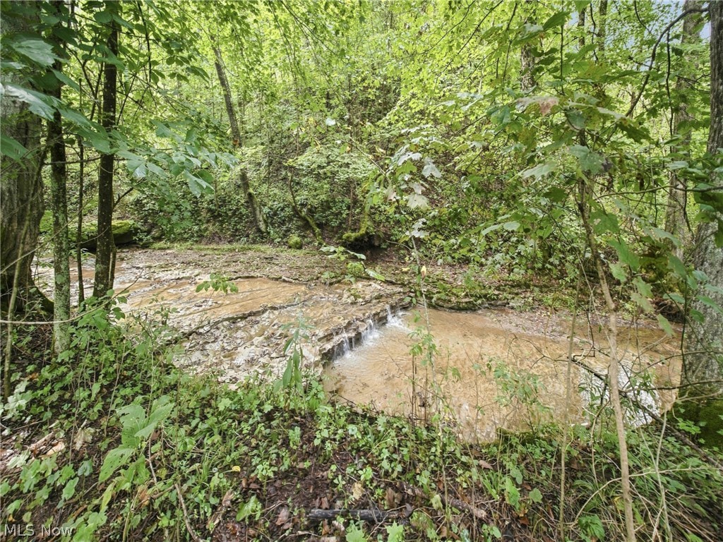 62319 Glencoe Road Belmont OH 43718