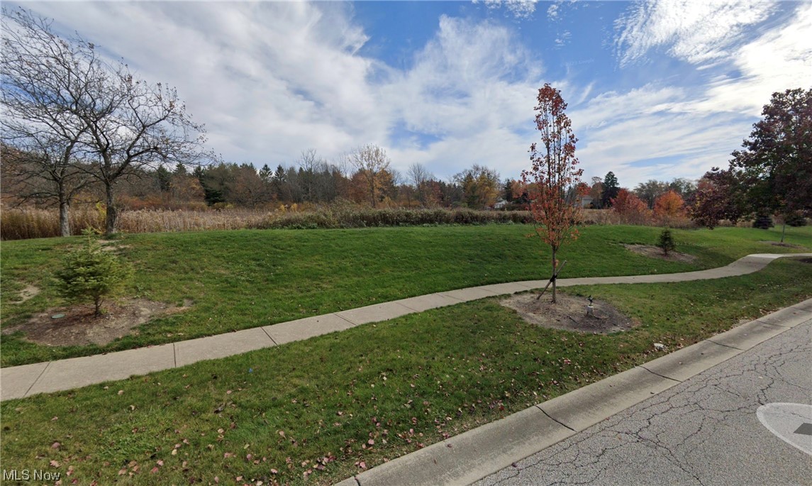Center Road Brunswick OH 44212