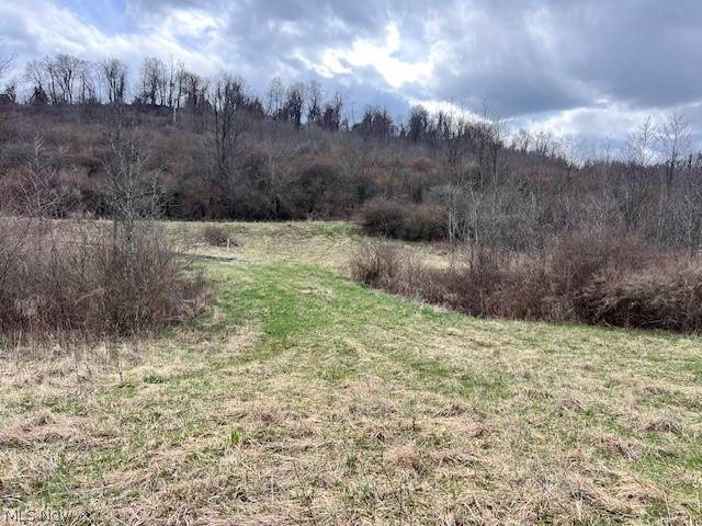 0 Johnson Bethel Road Barnesville OH 43713