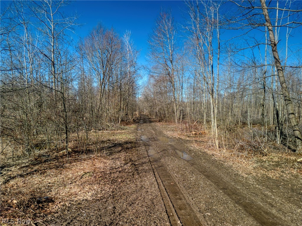 County Line Road Madison OH 44057