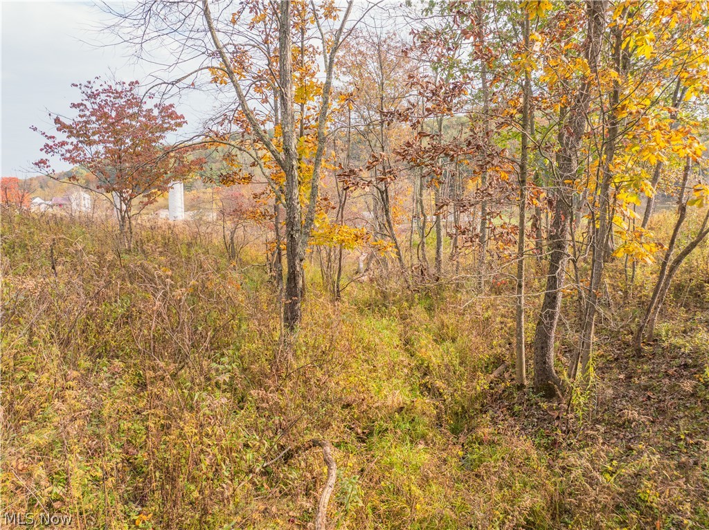 Elliott Road Newcomerstown OH 43832