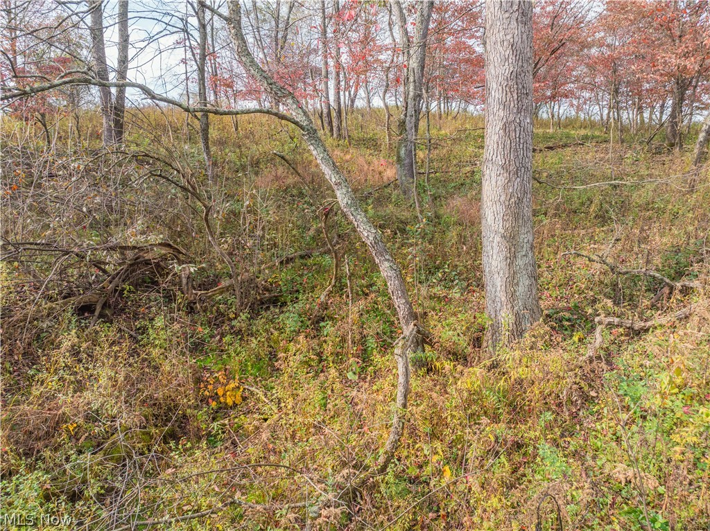 Elliott Road Newcomerstown OH 43832