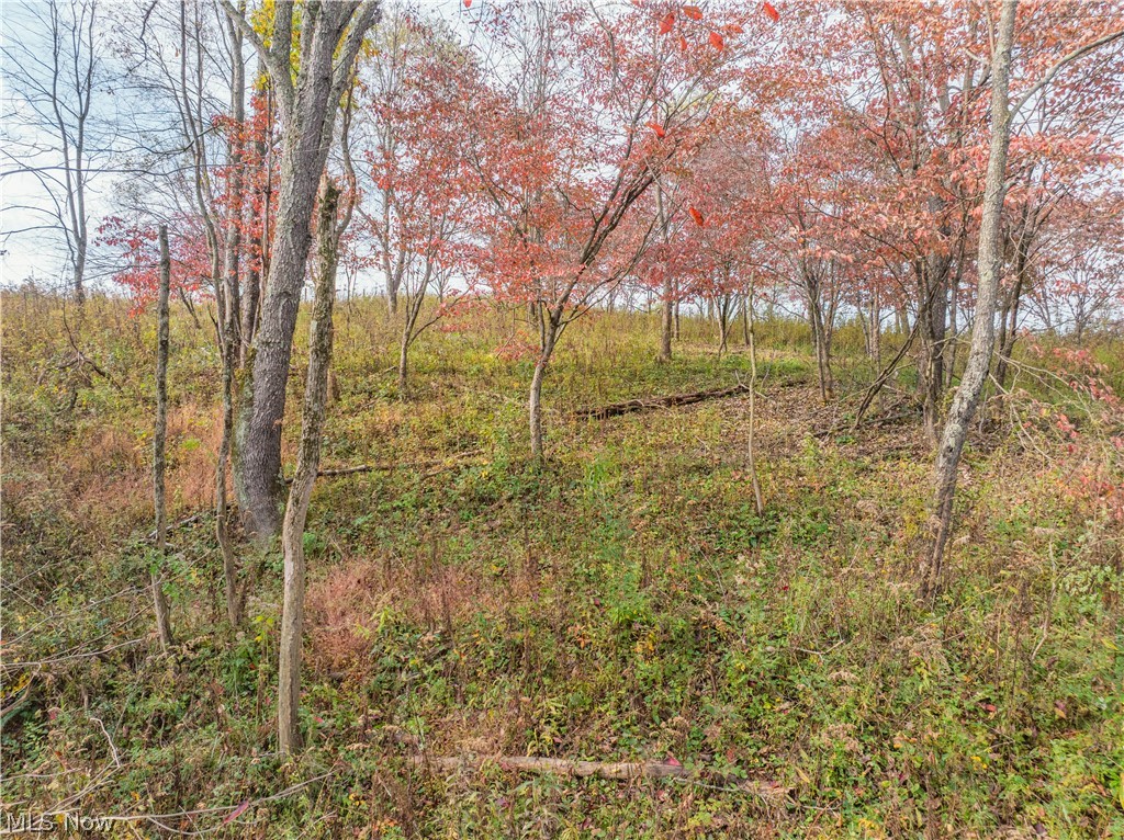 Elliott Road Newcomerstown OH 43832