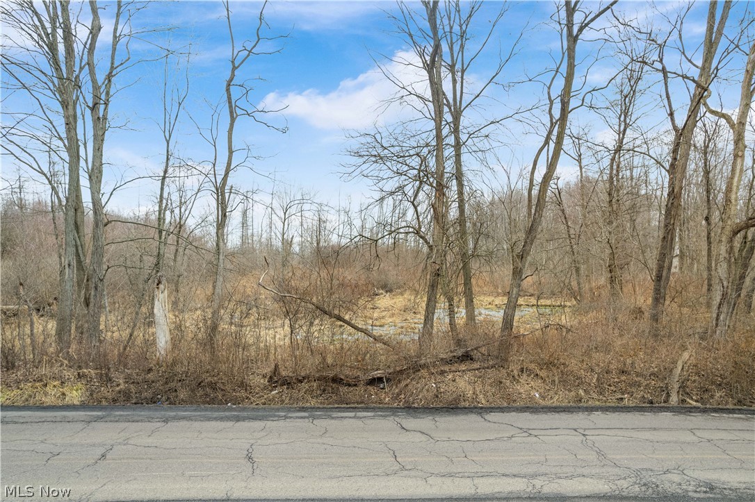 Lane Road SW Warren OH 44481
