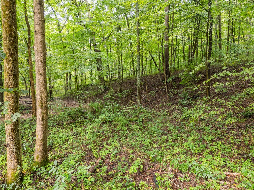 Sr 60 Dresden OH 43821