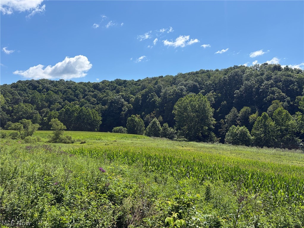 38923 Stonehouse Road Woodsfield OH 43793