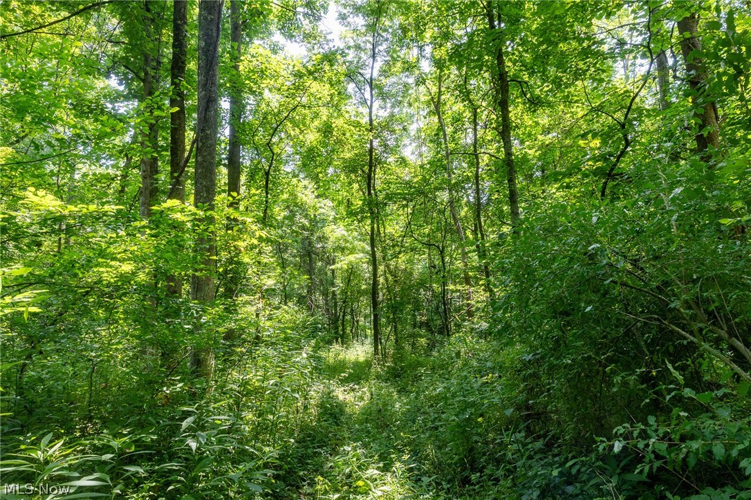 Big Run Road Cutler OH 45724
