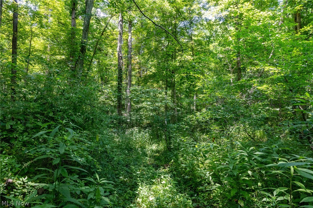 Big Run Road Cutler OH 45724