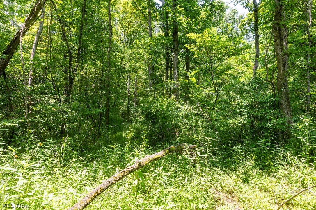 Big Run Road Cutler OH 45724