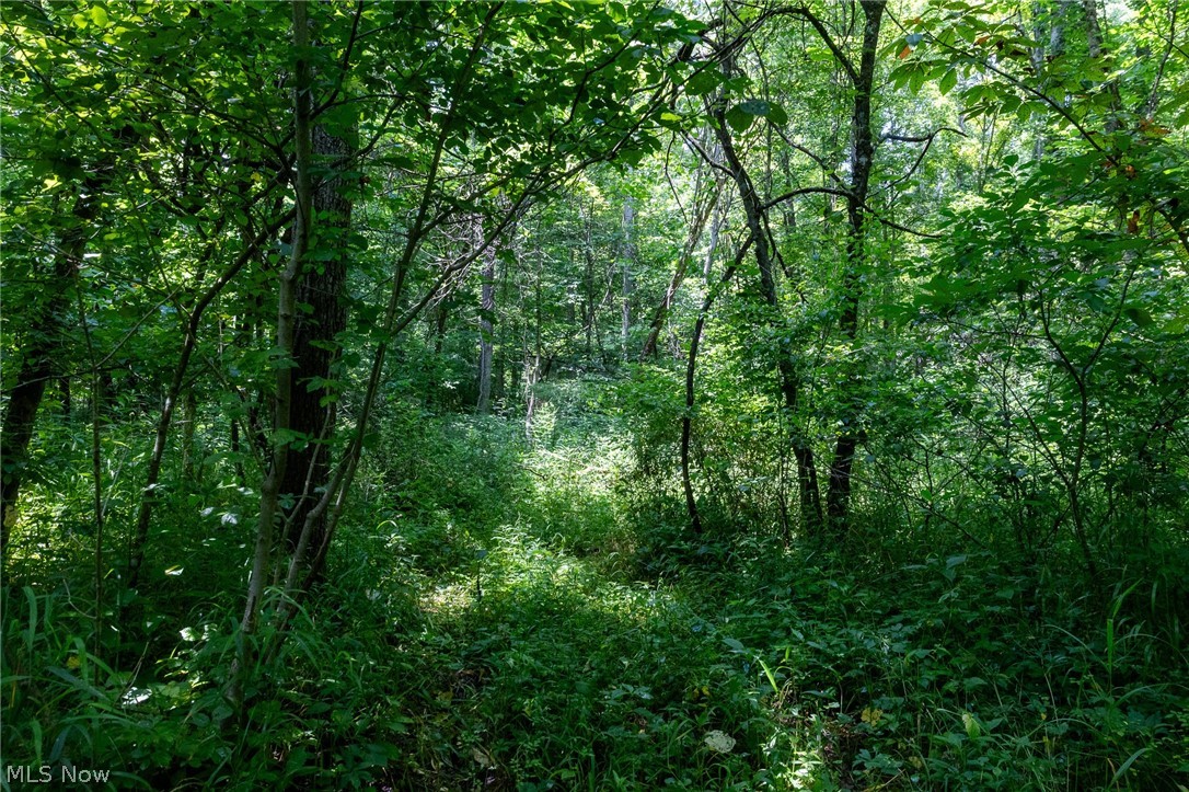 Big Run Road Cutler OH 45724