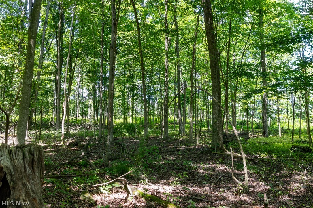 Wayland Road Diamond OH 44412