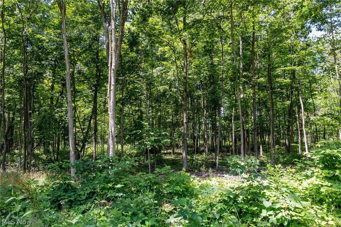 Wayland Road Diamond OH 44412