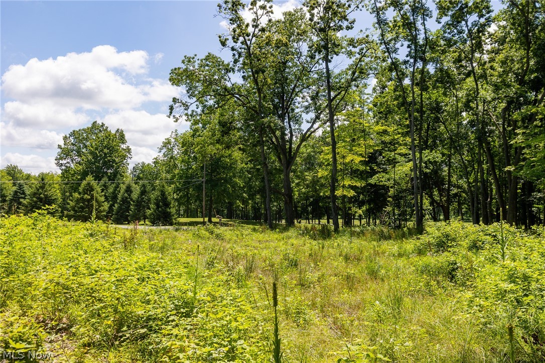 Wayland Road Diamond OH 44412
