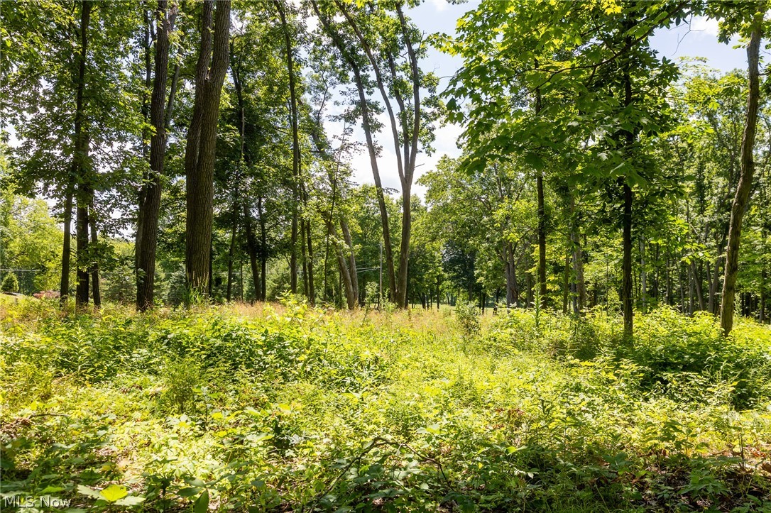 Wayland Road Diamond OH 44412