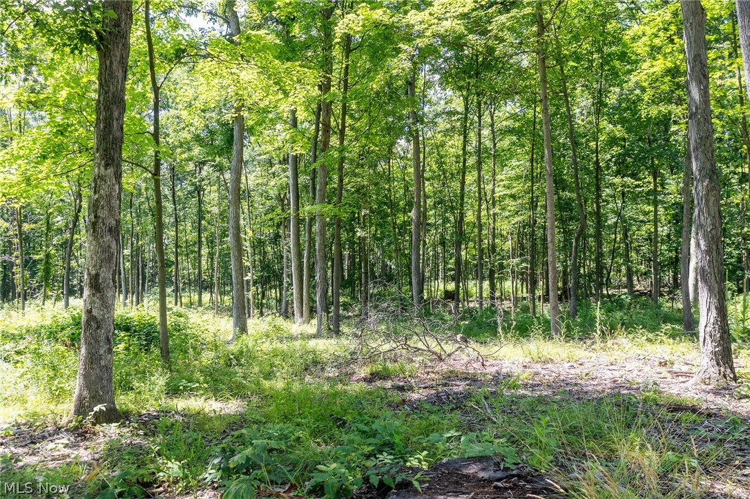 Wayland Road Diamond OH 44412