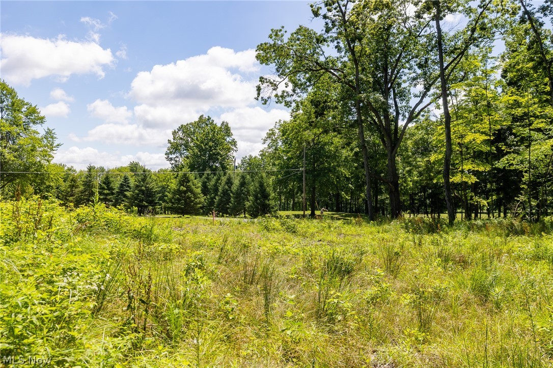 Wayland Road Diamond OH 44412