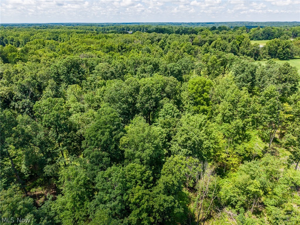 Wayland Road Diamond OH 44412