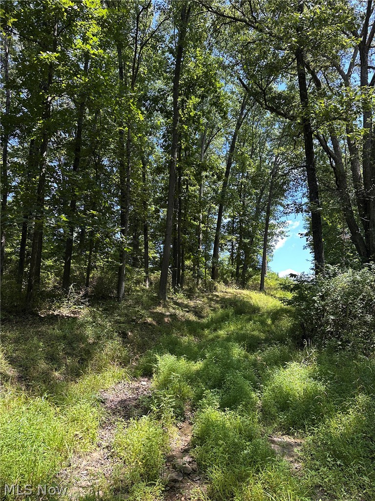 Luby Lane Zanesville OH 43701
