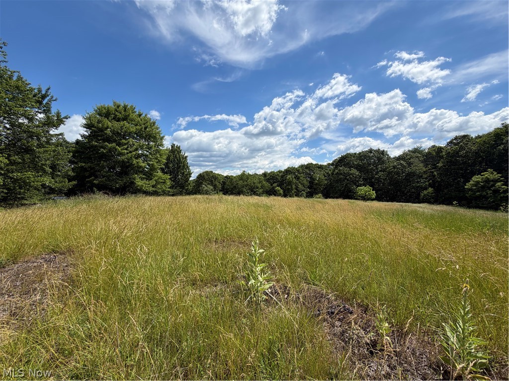15441 Johnson Road Lisbon OH 44432