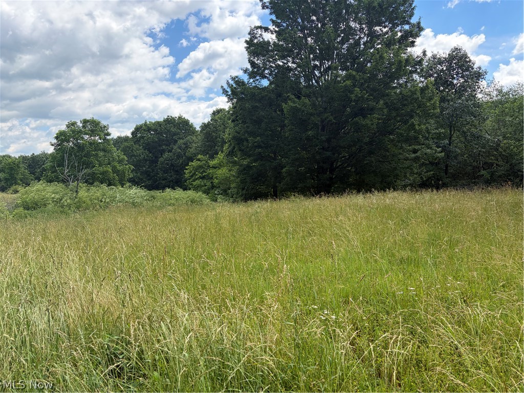 15441 Johnson Road Lisbon OH 44432