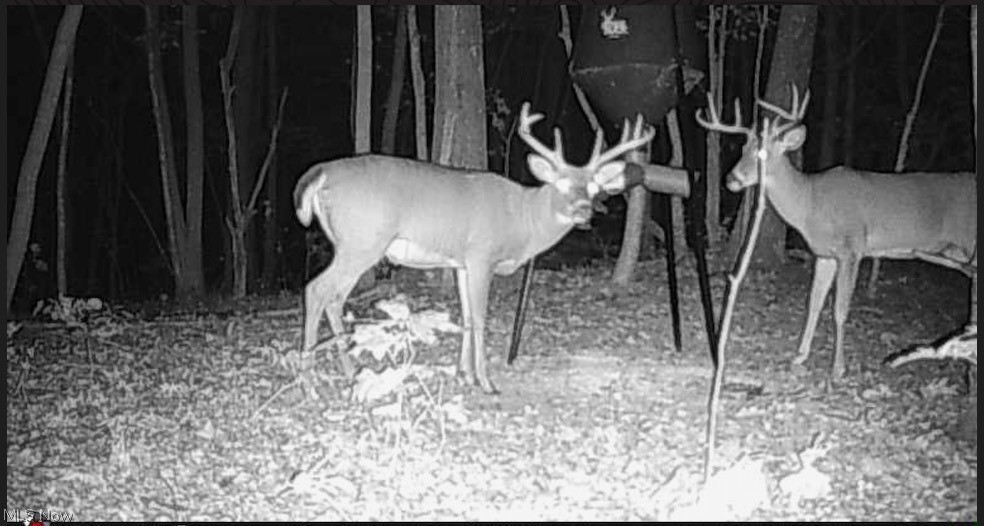 15441 Johnson Road Lisbon OH 44432
