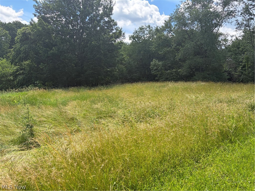 15441 Johnson Road Lisbon OH 44432
