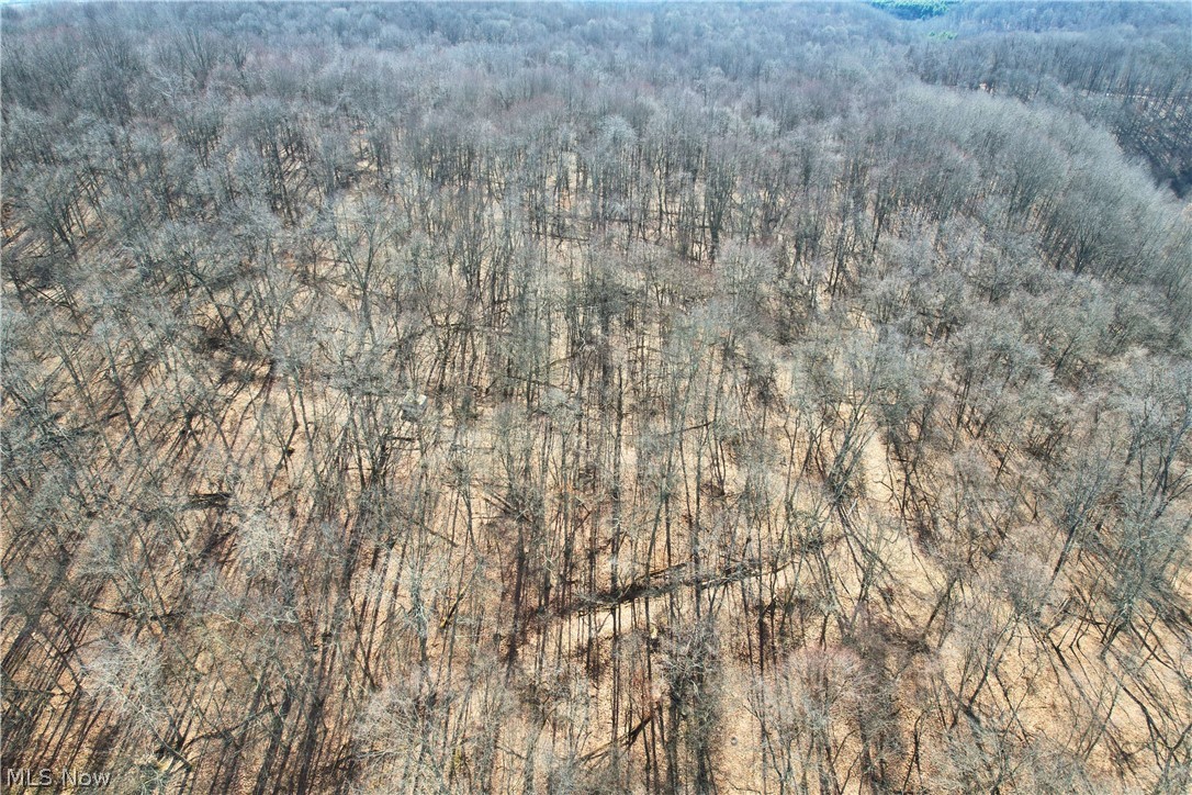 Wolf Road SW Port Washington OH 43837