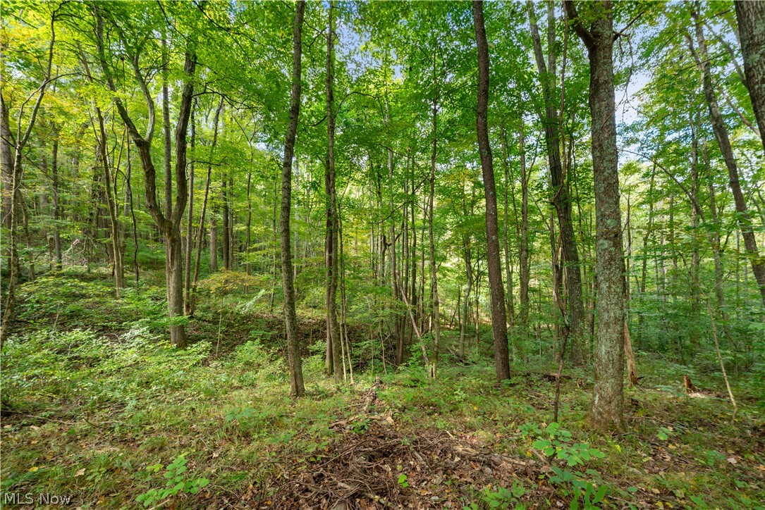 Township Road 329 Corning OH 43730