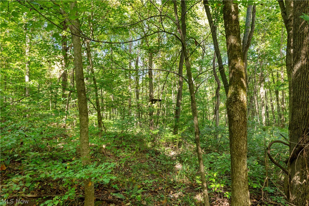 Township Road 329 Corning OH 43730