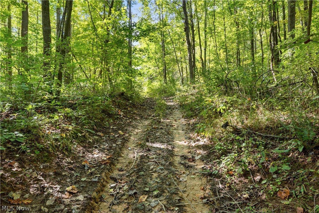 Township Road 329 Corning OH 43730