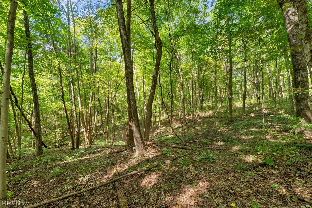 Township Road 329 Corning OH 43730