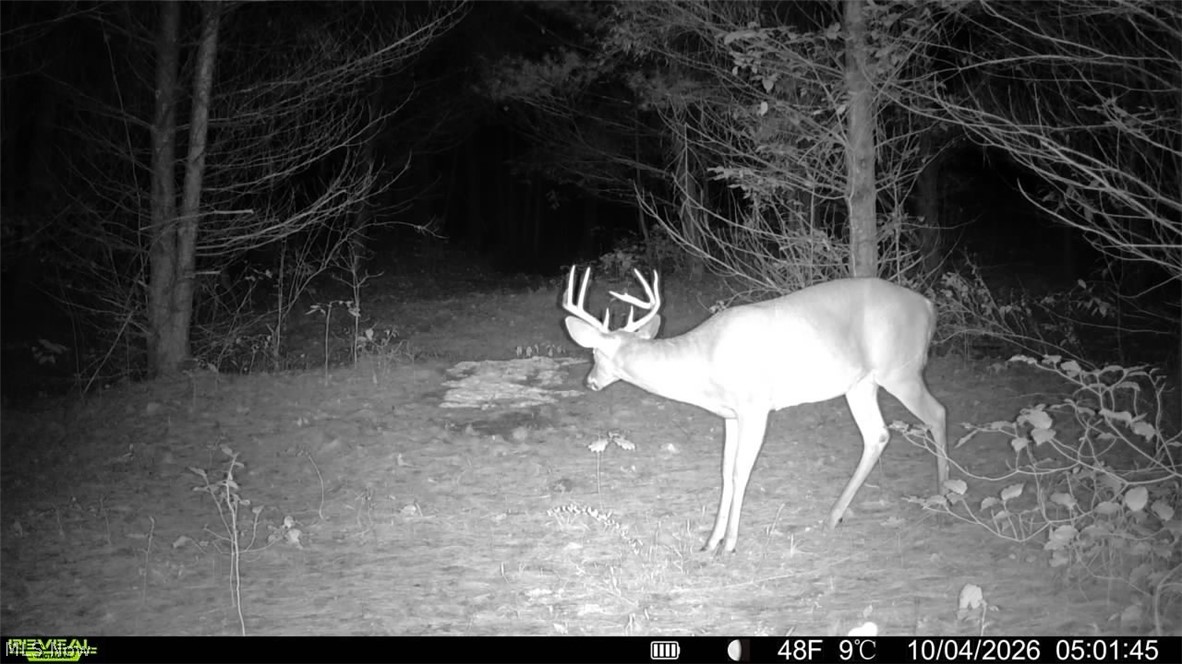 Township Road 329 Corning OH 43730