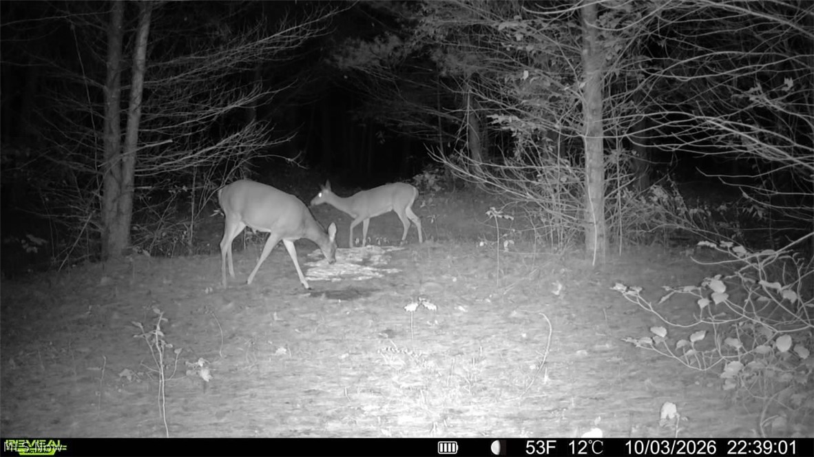 Township Road 329 Corning OH 43730