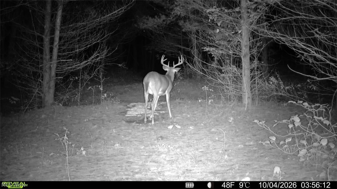 Township Road 329 Corning OH 43730