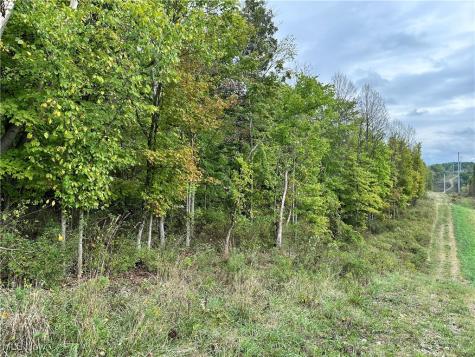 3275 Highland Ridge Road Road Lowell OH 45744