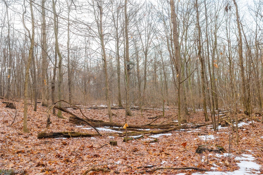 7389 Doylestown Road Sterling OH 44276