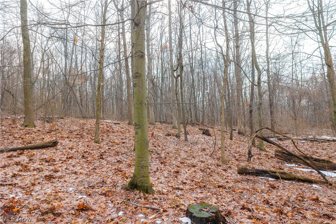7389 Doylestown Road Sterling OH 44276