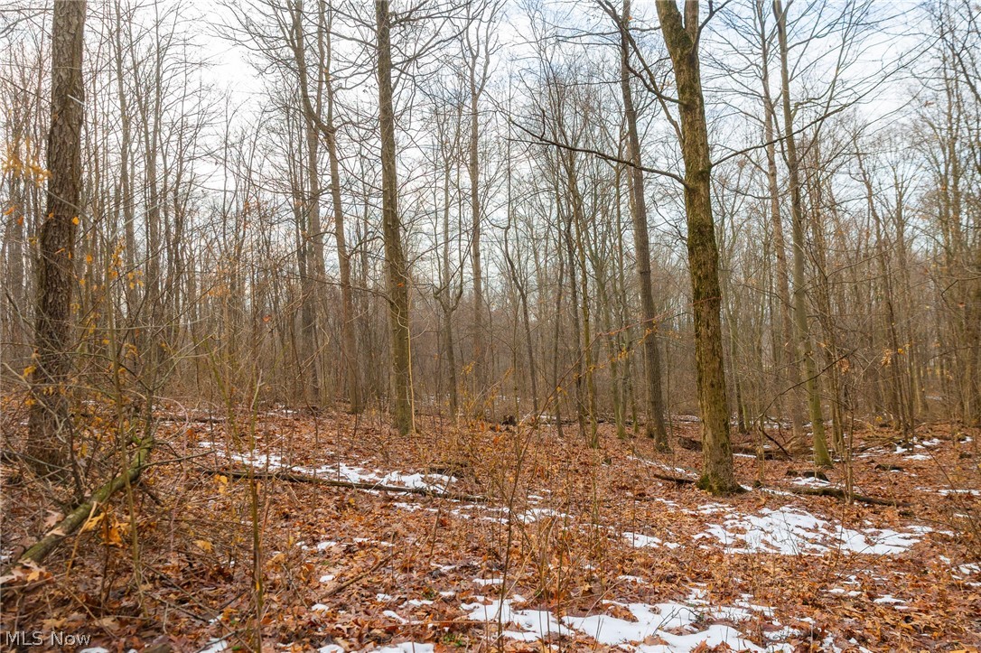 7389 Doylestown Road Sterling OH 44276