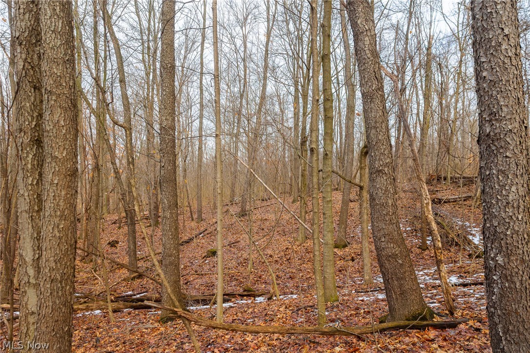 7389 Doylestown Road Sterling OH 44276