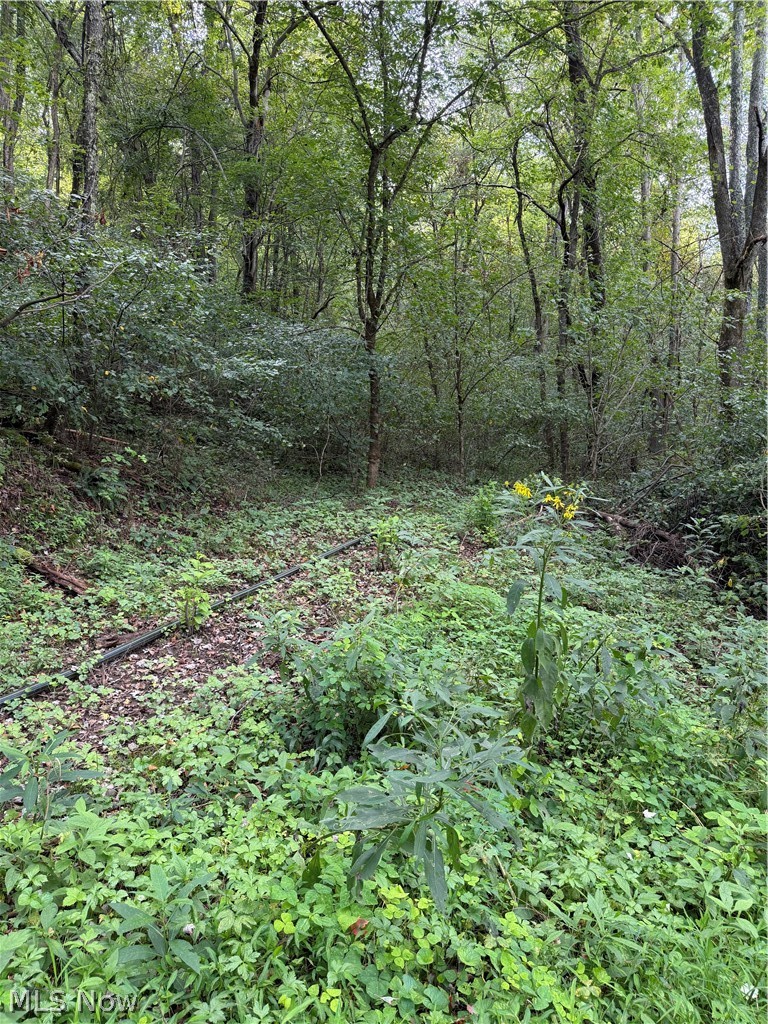Sr 145 Lower Salem OH 45745