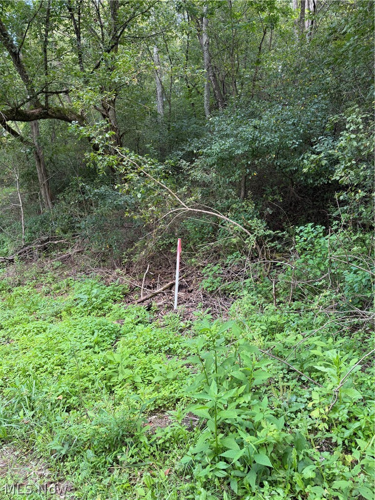 Sr 145 Lower Salem OH 45745