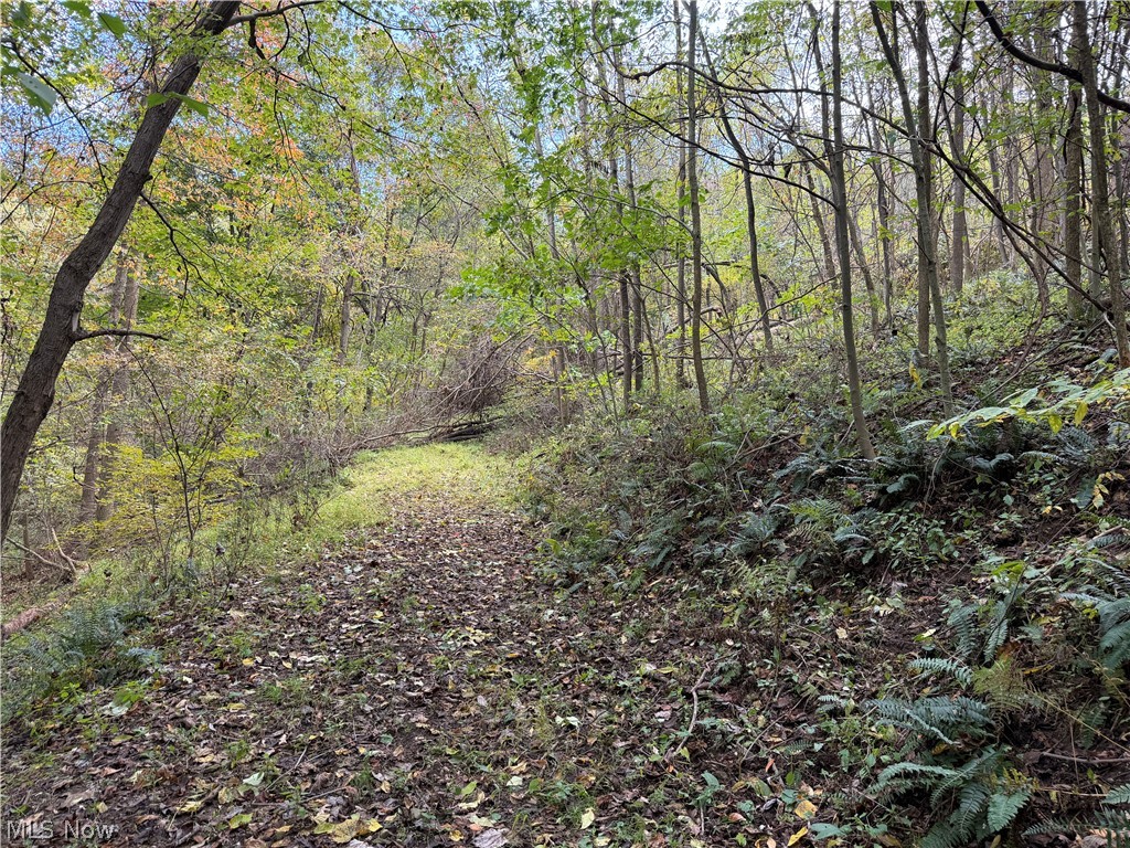 0 County Road 106 Newcomerstown OH 43832