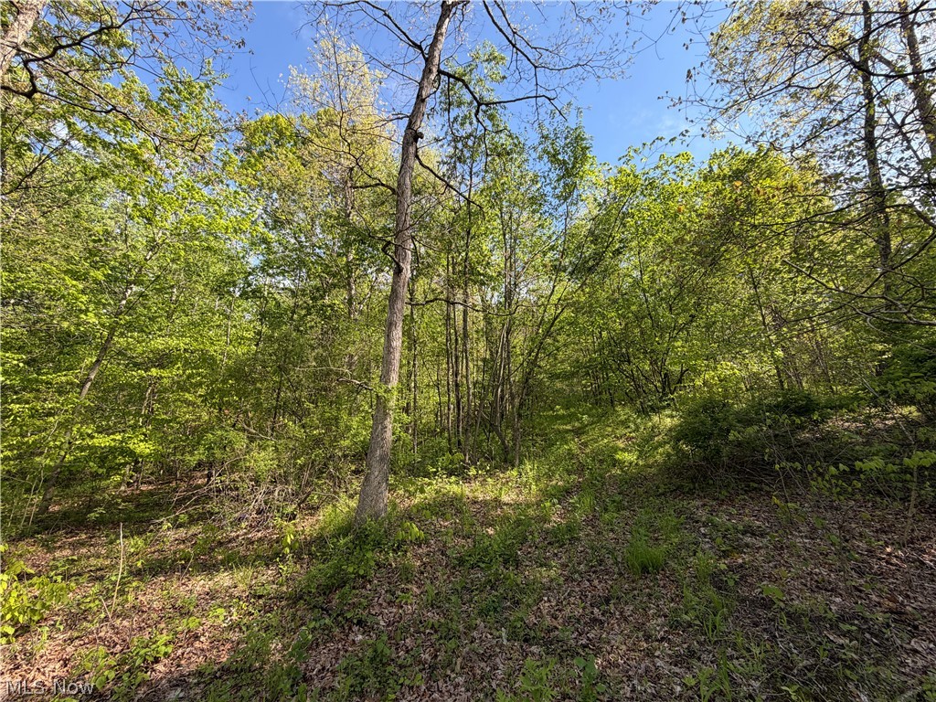Township Road 290 Coshocton OH 43812